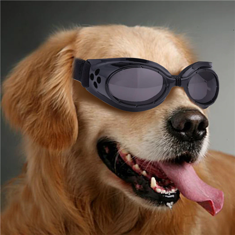Солнцезащитные очки для собак