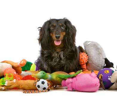 Купить игрушки для собак