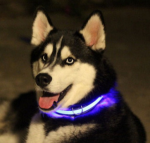 Эстетика и функциональность светящихся ошейников для собак